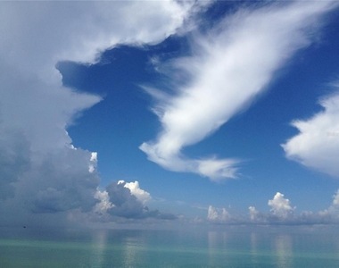 2709 Casey Key Road - Photo Thumbnail 49