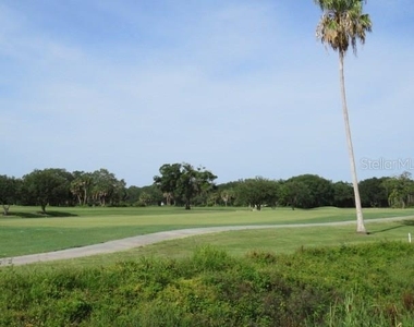 2625 Terra Ceia Bay Boulevard - Photo Thumbnail 29