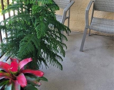 750 N Tamiami Trail - Photo Thumbnail 6
