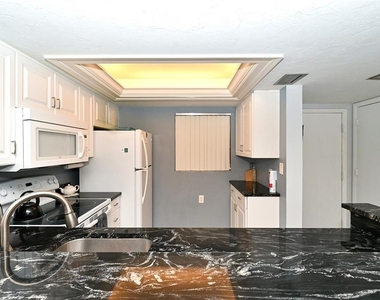 1257 S Portofino Drive - Photo Thumbnail 13
