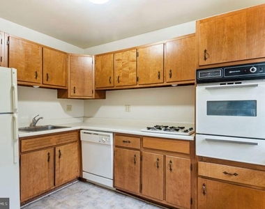 1920 North Calvert Street - Photo Thumbnail 1