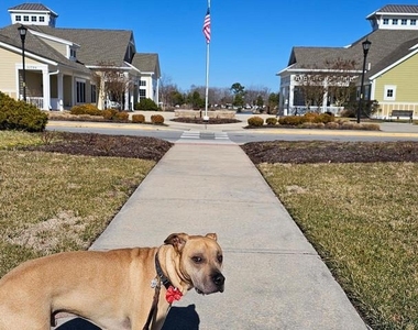 35014 Sunfish Lane - Photo Thumbnail 34