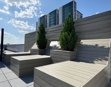 333 Linden Boulevard - Photo Thumbnail 10