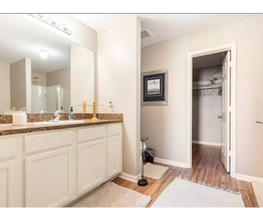 883 Indigo Springs Lane - Photo Thumbnail 4