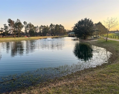 28723 Sedgefield Street - Photo Thumbnail 30