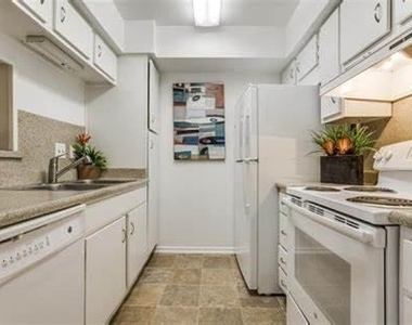 4655 Wild Indigo Street - Photo Thumbnail 7
