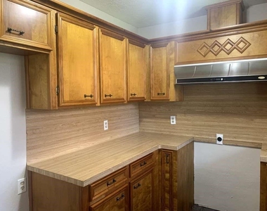 203 Ferguson Drive - Photo Thumbnail 10