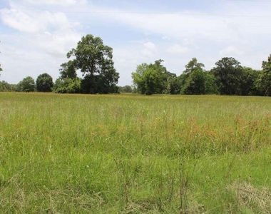 203 Ferguson Drive - Photo Thumbnail 22