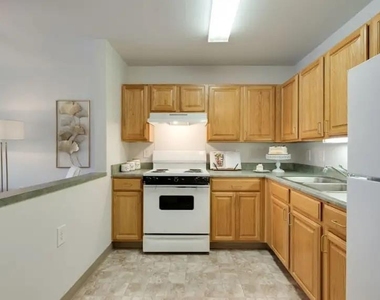 1320 Ashebury Ln - Photo Thumbnail 6