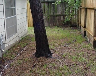10826 Sugar Hill Drive - Photo Thumbnail 4