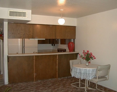 704 W Corral Avenue - Photo Thumbnail 5