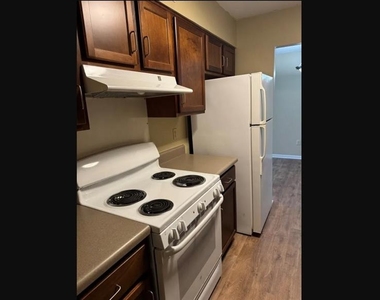 801 Wildcat Dr - Photo Thumbnail 5