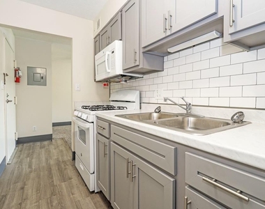 319 Blair Ct - Photo Thumbnail 19