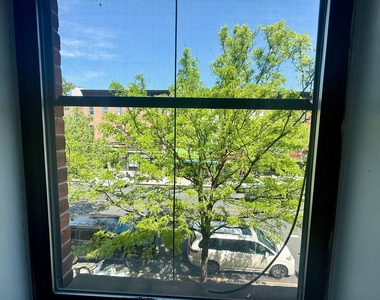 922 Fulton St - Photo Thumbnail 5