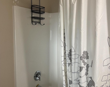 241 Hiering Avenue - Photo Thumbnail 22