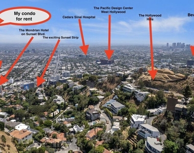 950 N Kings Road - Photo Thumbnail 53