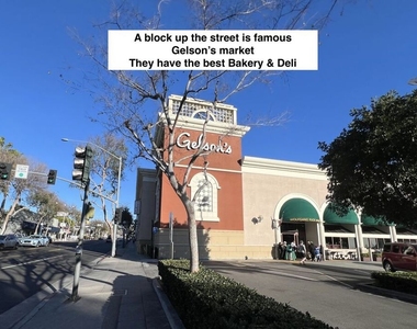 950 N Kings Road - Photo Thumbnail 55