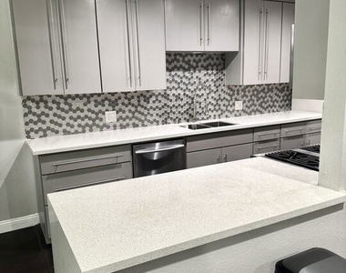 50 Elm Avenue - Photo Thumbnail 23