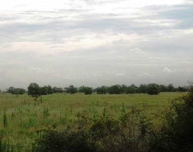 3466 Fm 362 Road - Photo Thumbnail 4