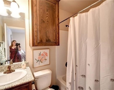 701 S Lillian Street - Photo Thumbnail 15