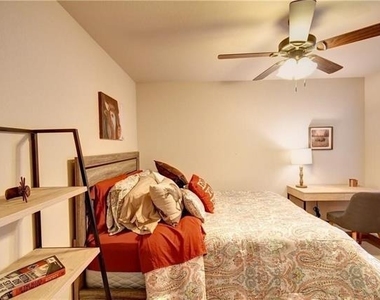 701 S Lillian Street - Photo Thumbnail 11