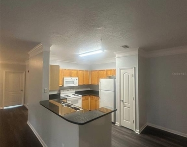19935 Villa Isle Drive - Photo Thumbnail 4