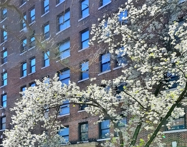 226 E 12th Street - Photo Thumbnail 6
