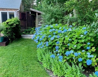 6 Lynn Court - Photo Thumbnail 14