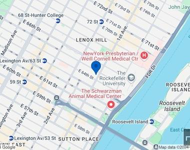 East 65th Street - Photo Thumbnail 10