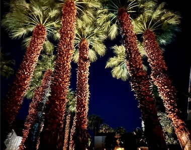 78130 Cortez Lane - Photo Thumbnail 9