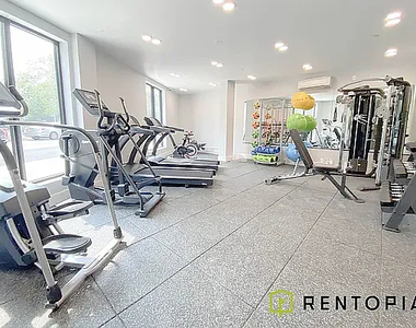 5 Withers Street - Photo Thumbnail 4