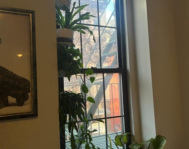 59 W 8th Street - Photo Thumbnail 4