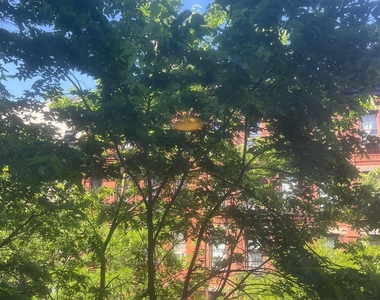 East 81st Street - Photo Thumbnail 5