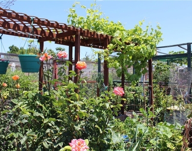 2299 Via Puerta - Photo Thumbnail 13