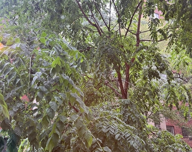 East 85th Street - Photo Thumbnail 8
