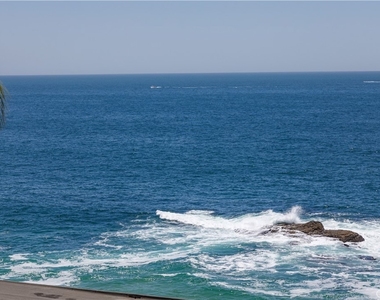 31755 Coast - Photo Thumbnail 1