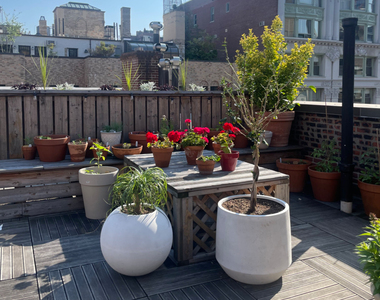 43 E 10th Street - Photo Thumbnail 5