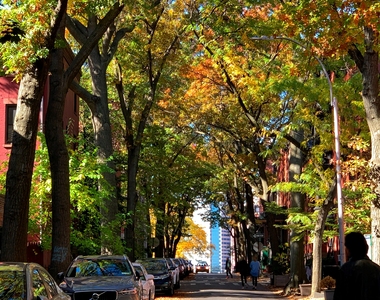one of fruit streets - Photo Thumbnail 8