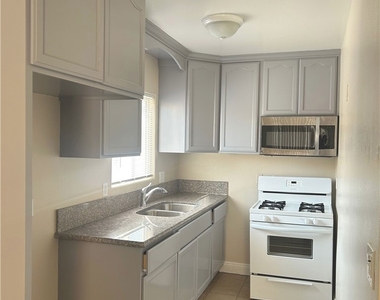 626 W 59th Place - Photo Thumbnail 4