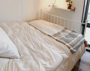 691 Chauncey Street - Photo Thumbnail 4
