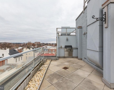815 King Street - Photo Thumbnail 19