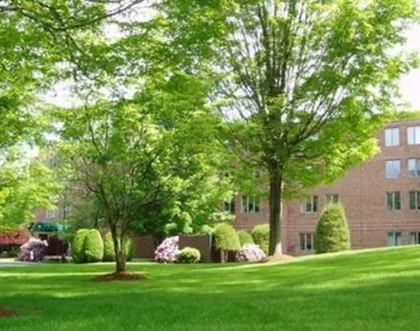 143-145 Mill St - Photo Thumbnail 3