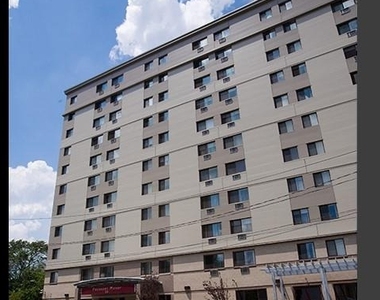 20 Kelly St - Photo Thumbnail 2