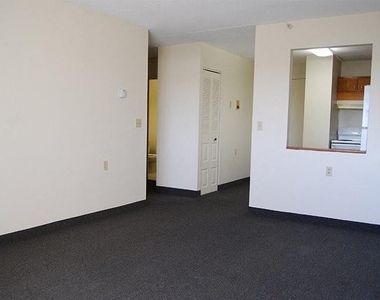 20 Kelly St - Photo Thumbnail 7