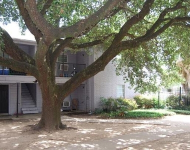 6225 Tierwester Street - Photo Thumbnail 1