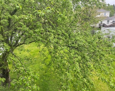 14 Merrill Street - Photo Thumbnail 3