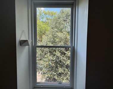 756 Putnam Avenue - Photo Thumbnail 3