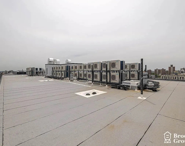 2258 Fulton St, Brooklyn, NY 11233 - Photo Thumbnail 6