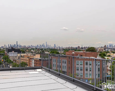 2258 Fulton St, Brooklyn, NY 11233 - Photo Thumbnail 5