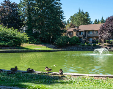 4277 148th Ave. N.e. - Photo Thumbnail 25